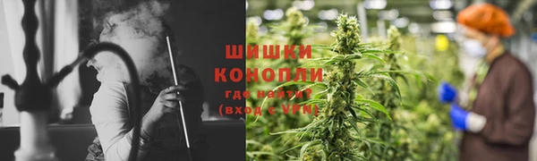 ГАЛЛЮЦИНОГЕННЫЕ ГРИБЫ Ладушкин