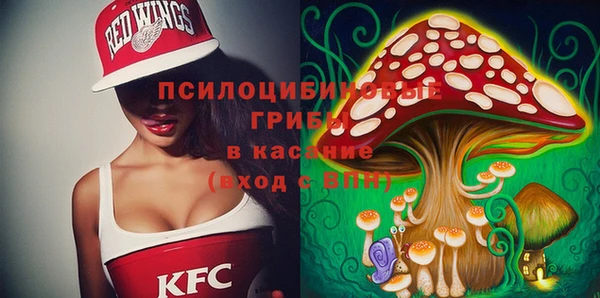 ГАЛЛЮЦИНОГЕННЫЕ ГРИБЫ Ладушкин