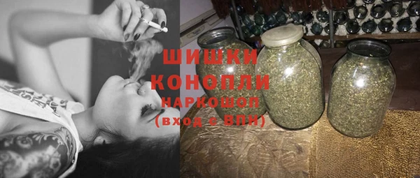 ГАЛЛЮЦИНОГЕННЫЕ ГРИБЫ Ладушкин