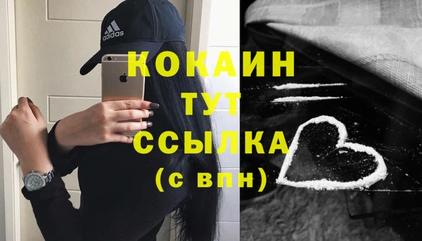 молекула духа Лихославль
