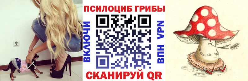 Псилоцибиновые грибы ЛСД наркота Малмыж